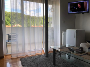 Studio Apartman NENA